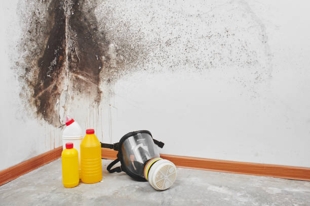 Water Damage Restoration in Daingerfield, TX