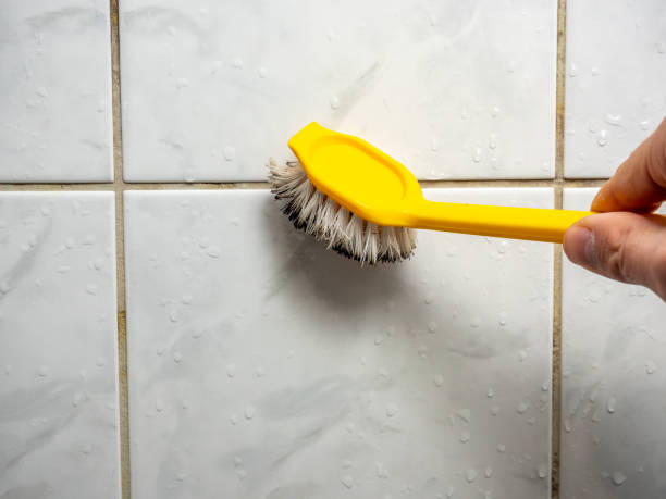 Best Office Mold Removal Services  in Daingerfield, TX