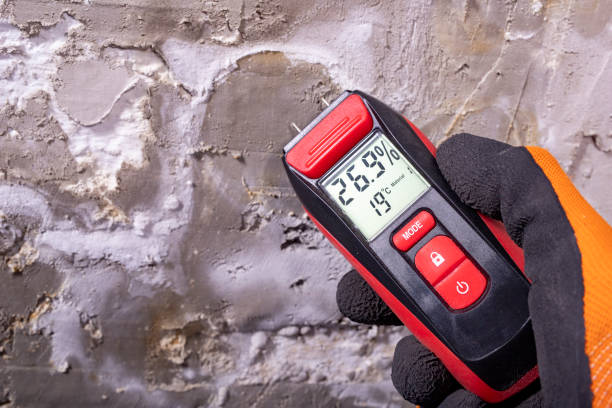 Best Mold Remediation  in Daingerfield, TX