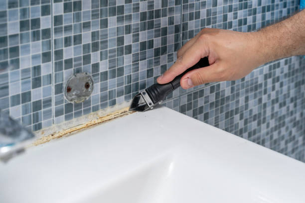 Best Residential Mold Removal  in Daingerfield, TX