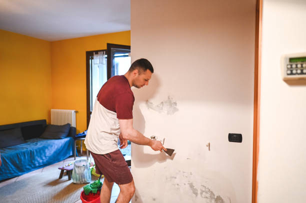 Best Mold Removal Company Near Me  in Daingerfield, TX